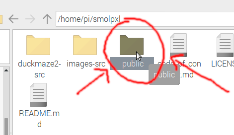Double-clicking public folder